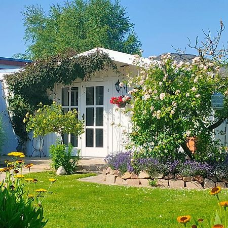 Luana'S White Cottage Surwold Екстер'єр фото